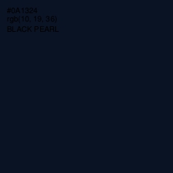 #0A1324 - Black Pearl Color Image